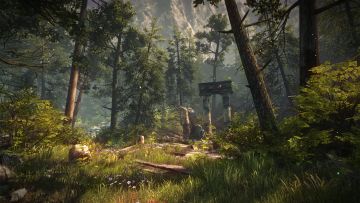 http://www.worldofplayers.de/allgemein/files/39297Ruins_In_The_Forestnew.jpg
